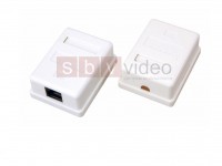 RJ-11 + RJ-45 CAT5e