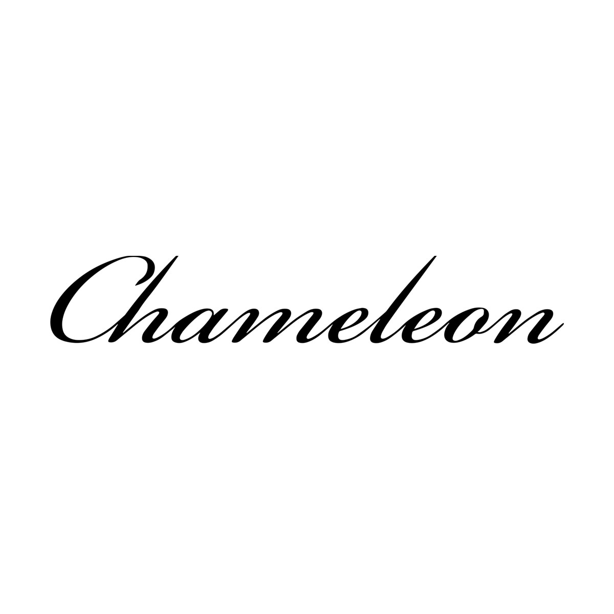 #12 Chameleon Model S Saffiano (Black) фото