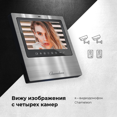 #11 Chameleon Model S (Black) фото
