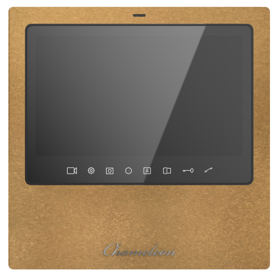 #19 Chameleon Model W Brass Type 1 фото