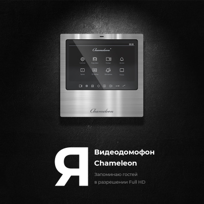 #11 Chameleon Model S (Black) фото