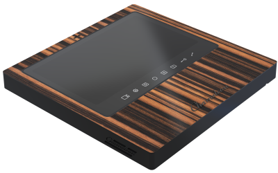 #18 Chameleon Model S (Black) фото