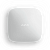 ajax-rex-white