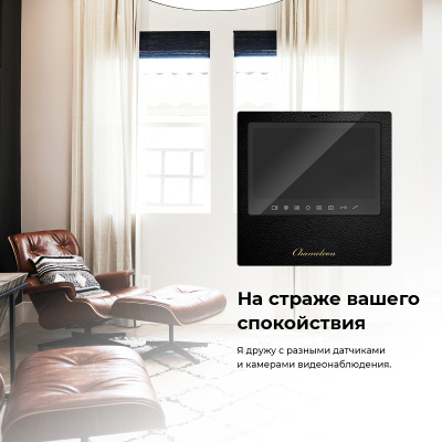 #12 Chameleon Model S Dakota (Black) фото