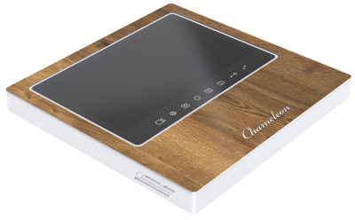 #15 Chameleon Model S (White) фото