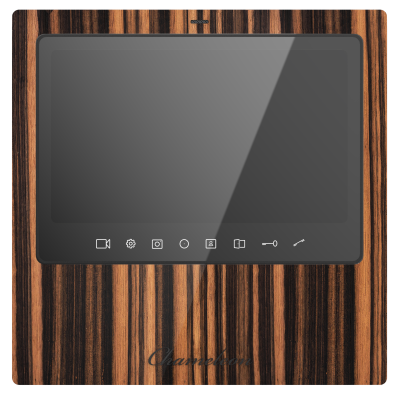 #18 Chameleon Model S (Black) фото