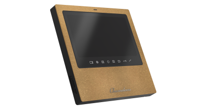 #20 Chameleon Model S (Black) фото