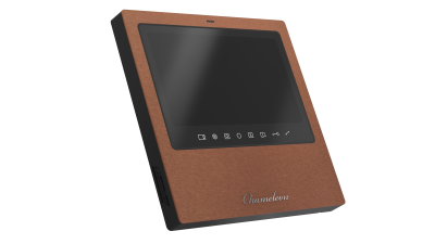 #30 Chameleon Model S (Black) фото