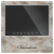 #6 Chameleon Model S Light Stone (White) фото